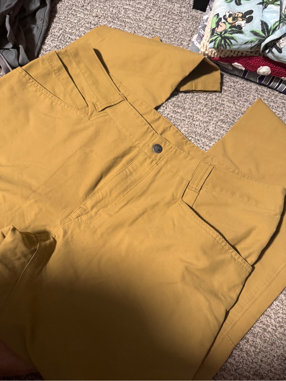 The North Face Men’s Tan Chino-Style Pants - Picture 2 of 7